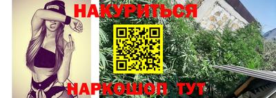 прущие грибы Ставрополь