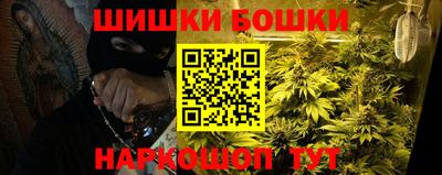 прущие грибы Ставрополь