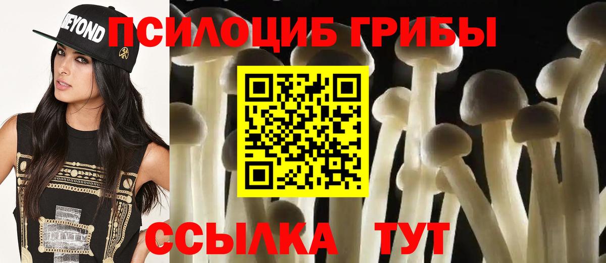 Прокопьевск  наркошоп  Псилоцибиновые грибы Psilocybine cubensis  Вход с VPN  Галлюциногенные грибы прущие грибы 